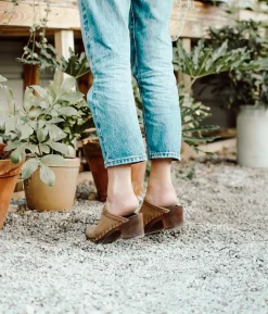 Rome studded clog mule